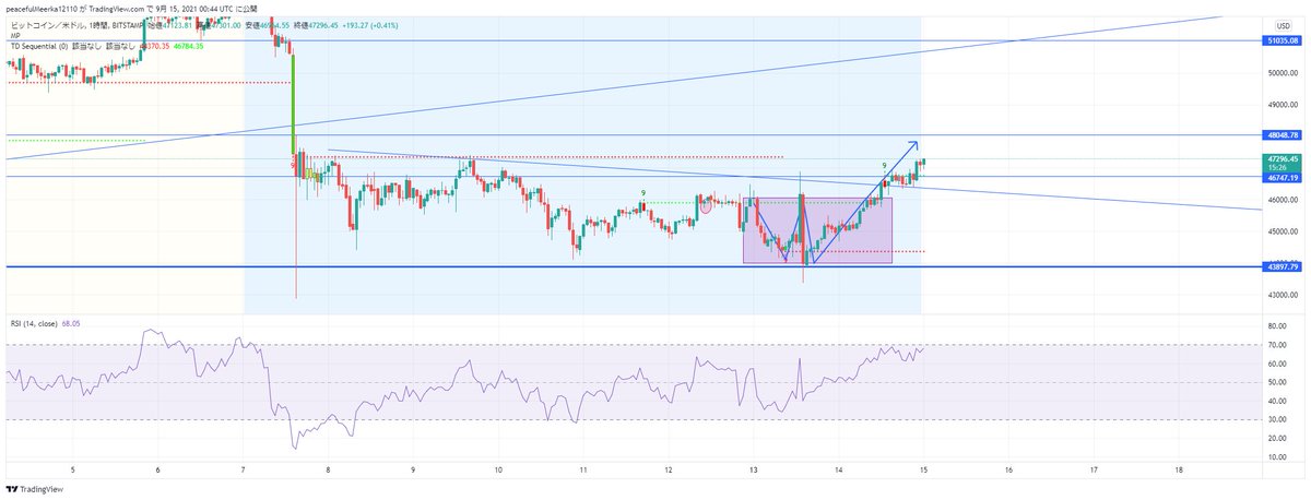 5BTCojisan's tweet photo. ＃BTCUSD

いつも通り考察は完璧でしたぞ
取り合えず直近はこんな感じで、MA4時間で一旦上昇は止まると思うので利確推奨ですぞ
※画像にMAはありません笑

で、一旦調整というか押し目つけて上がれるようなら↑
時間軸間違えないように
直近なのか数日後なのかによって全く視点は異なりますぞ https://t.co/cJo8nOpAjb