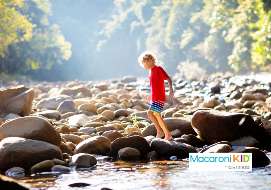 Did you know that all fourth graders can receive free entry to hundreds of national parks, recreation areas, forests, monuments, and wildlife refuges? #blono bloomington-normal.macaronikid.com/articles/61377…