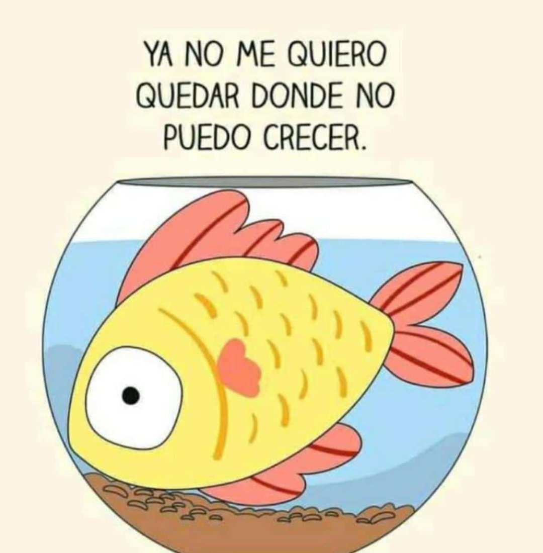 Litologia's tweet photo. https://t.co/J1fMzQk5c7