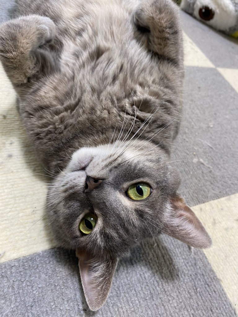 おはようございます