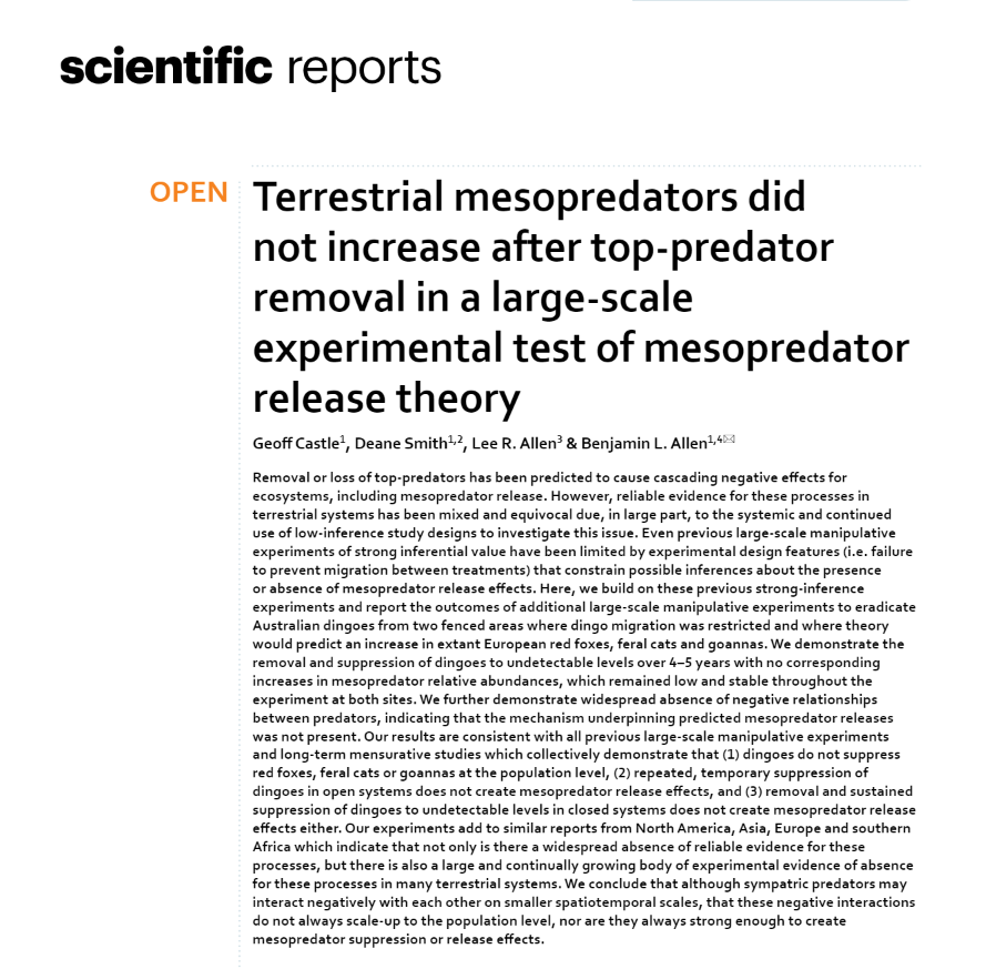New paper out from Geoff Castle, with myself, Lee Allen &amp; @BenAllenDingo. Looking at #mesopredator responses to #dingo removal inside Cluster Fences in CW QLD. Please, go have a read:

rdcu.be/cxJEI

#australia #ecology #research <a href="/ecologyUSQ/">Ecology & Environmental Science at UniSQ</a>