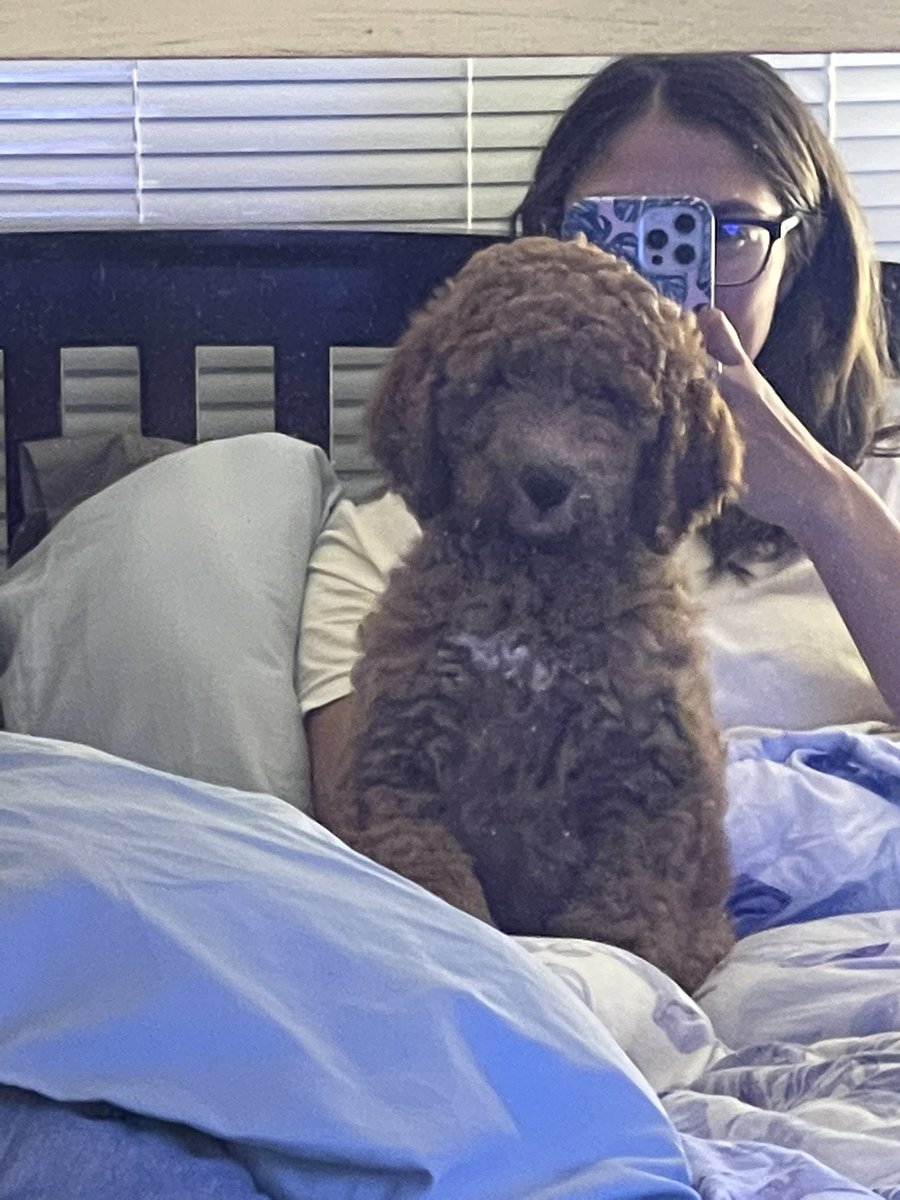 kendrahoots's tweet photo. Anyone else’s dog just stare at themselves in the mirror??? https://t.co/yZSJwvbG0y