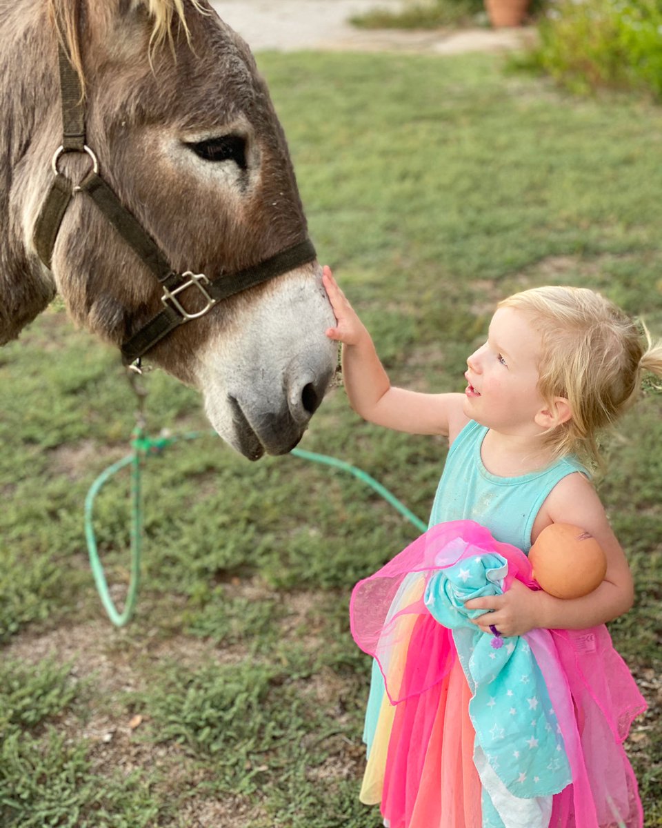 FlashTheDonkey's tweet photo. Live gently today, my friends. 
•
Everyone you meet is holding pain in some way. Sometimes that pain is expressed by anger. Sometimes it’s expressed in withdrawal, or depression. Sometimes pain is covered up by busyness or entertainment, or even humor. /1 https://t.co/HQeVEissWc