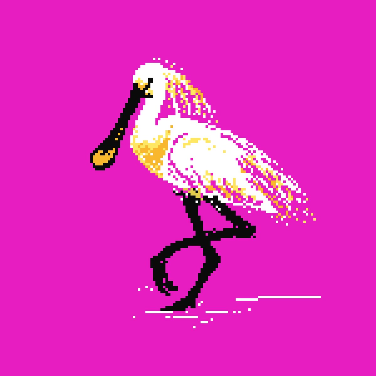 treasuresiren's tweet photo. #Pink background? #fuschia  Yes or No? Cooler than a #flamingo 
 #노랑부리저어새 #저어새 🥄🦤 on @opensea
@mintable_app @rarible @nft
.
#NFT #nftart #nftdrop #pixelart #pixelbird #spoonbill #exoticbird #cryptoart #ETH #ethereum #polygon #nftcollector #nftartauction #천연기념물 https://t.co/HiwCdiFy30