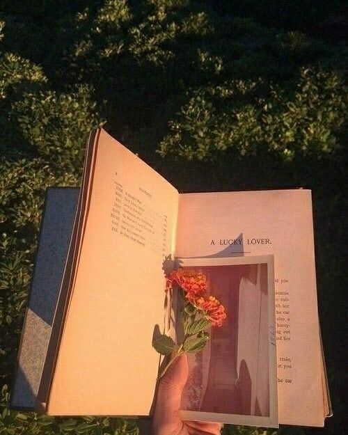 itsmeElh's tweet photo. Hey #studytwt 
I hope everyone is staying safe and happy <3
I also hope that you guys are having an amazing &amp; productive morning/night/day!
So I came across this studytuber and her content was pretty good. Do check her out !
https://t.co/hLGbFObaWm
 #studytwt #lifetwt #studytuber https://t.co/bOWpxwJz03