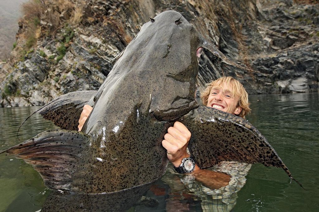 Man Eaten By Catfish