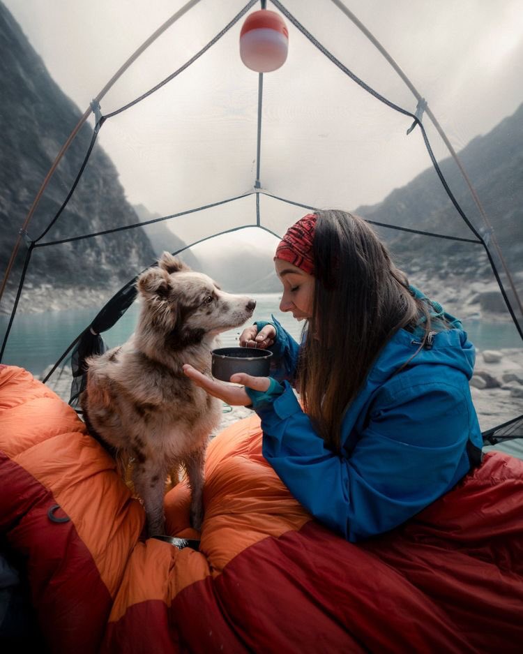 THE JOURNEY IN RV CAMPING LIFE IS BETTER WITH A DOG BY YOUR SIDE.
🏕
Source Unknown. please DM for credit.
❤️
#campingdog #camping #campingcar #campinggear #campingweekend #campinglife #campingground #campingtrip #campingfun #campingvibes #campingofficial