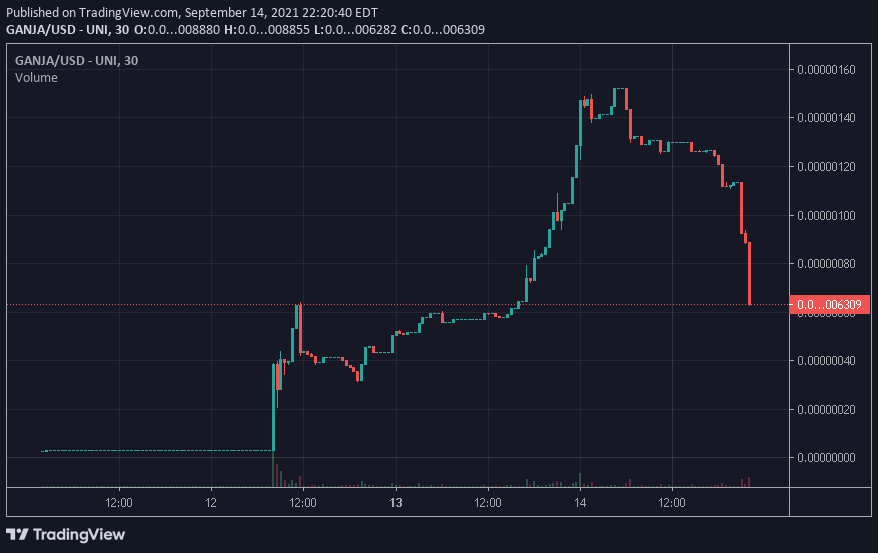 ArnoldMoger's tweet photo. $GANJA is on a nice dip, make sure you pick up a bag while it lasts. 😎🚬

Dex: https://t.co/FnRBZUZHWV
TG: https://t.co/ZBT95sezYq

@SnoopDogg $XP $REALM $GEL $FLOKI $MYOBU $DOGE $DBUY #FLOKIPUP $BOOST #SAITAMA $PRADA $KISHU $KOJI $BEZOGE @NORML @womengrow @elonmusk @JRNYcrypto https://t.co/4hdiuQvgHE