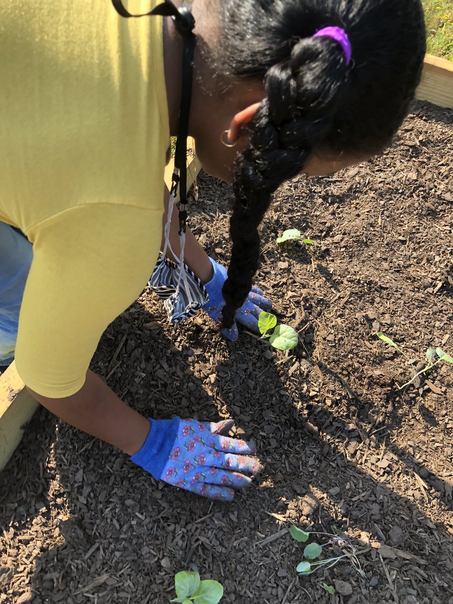 KENYAGREER14's tweet photo. Shoutout to my new garden buddy, Ashley!  @Treegrubber Our 3rd Grade Tigers @OakleyTigers are putting their NEW garden gloves to great use! We are 90% completed with our project…Thanks to you @captainplanetfd  We are so appreciative! 🌷🌸❤️ #gardenlove #FullSteamAhead https://t.co/4JaYScRDoY