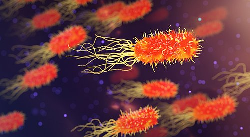 Conozca cómo impacta la resistencia antimicrobiana en la salud pública - lucirbien.com/conozca-como-i… <a href="/pfizer_spain/">Pfizer España</a> @PfizerMx <a href="/Fundpfizer_ES/">Fundación Pfizer ESP</a> <a href="/LogosCom/">Logos Comunicación</a> #salud #antimicrobiana #Panama