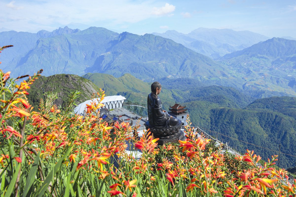 vietmountains's tweet photo. In autumn, Fansipan Mountain - The indochine summit - resembles a giant flower garden of Sa Pa with a rose valley, yellow chrysanthemum garden, bright red firecrackers covering the hillsides. 
https://t.co/cQ4p8Jjsga
#fansipan #hiking #trekking #nature #naturephotography https://t.co/BwE3iCeohk
