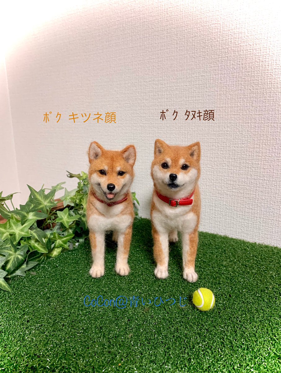 青いひつじ 羊毛フェルト キツネ顔の柴犬くんとタヌキ顔の柴犬くん作りました 羊毛フェルト 柴犬 キツネ顔 タヌキ顔 T Co Pawnnyyopl Twitter 青いひつじ 羊毛フェルト キツネ顔の柴犬くんとタヌキ顔の柴犬くん作りました 羊毛フェルト 柴犬 キツネ顔 タヌキ顔 T Co Pawnnyyopl Twitter