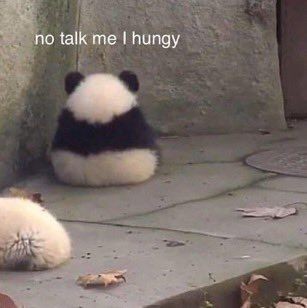 me in the morning :