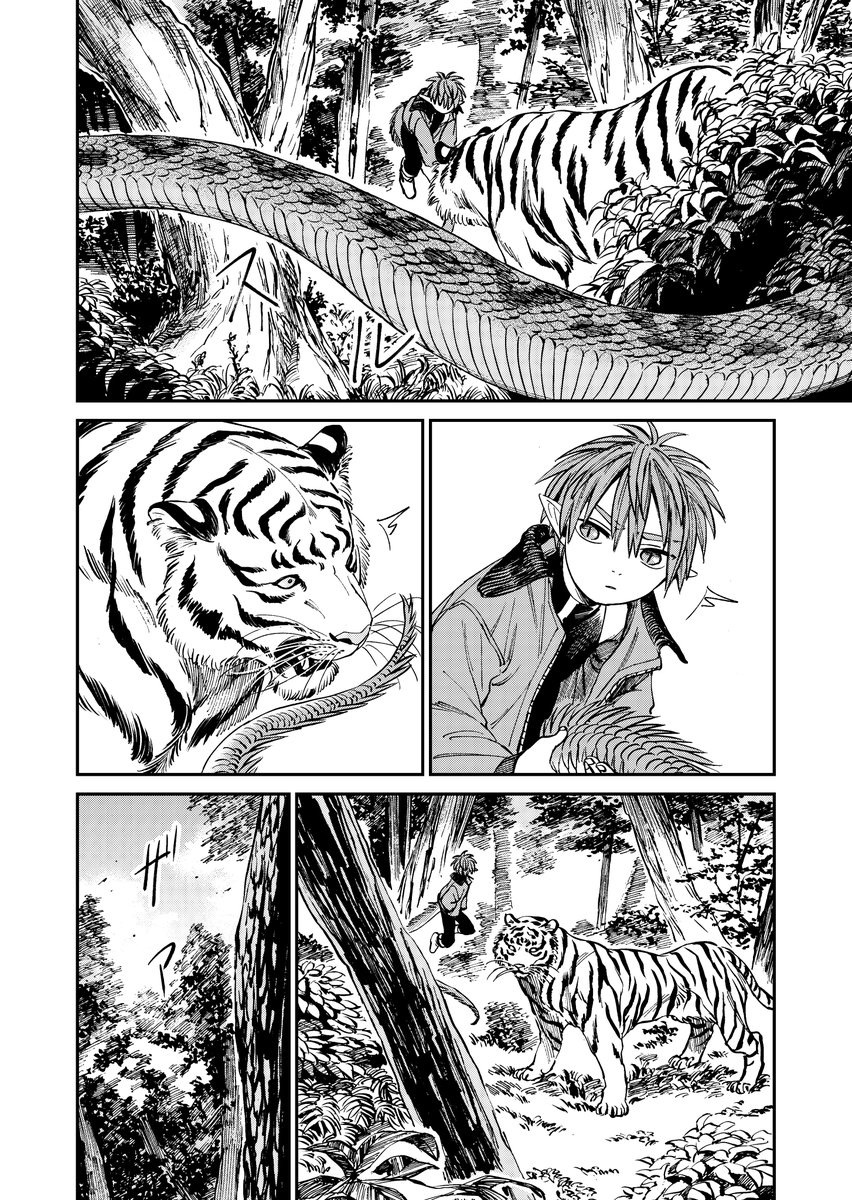 「虎は龍をまだ喰べない。」
発売中のハルタ87号にて第五話掲載されています!
白虎を巡って勝負をする雄虎と龍、そして二匹に近づく影…
よろしくお願いします!
#まだ喰べ 