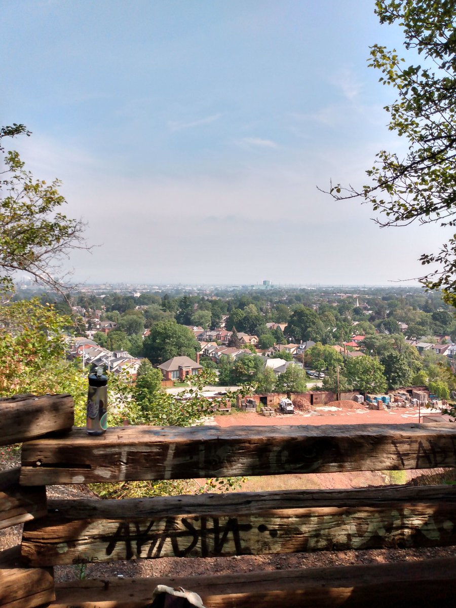 c. {they/them} tweet media