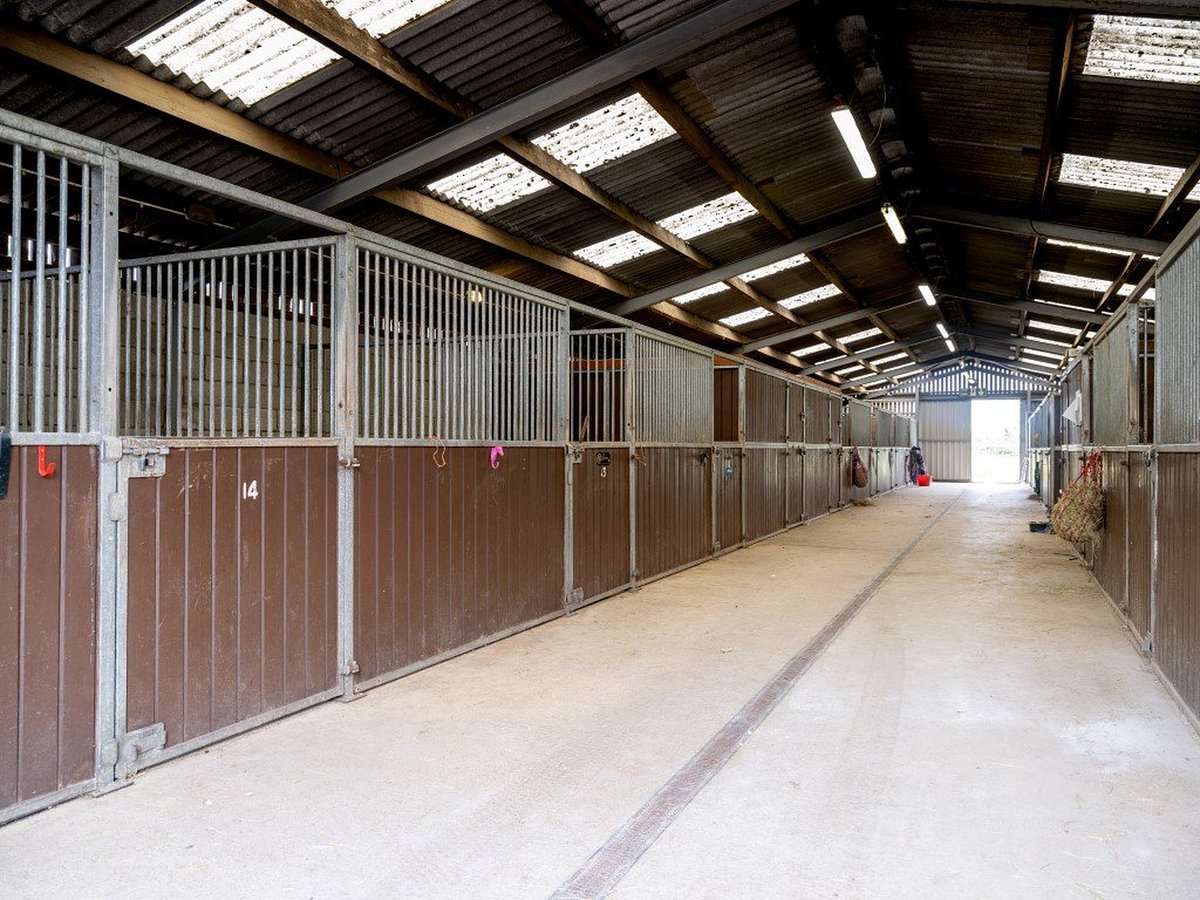 💥NEW TO MARKET - EQUESTRIAN CENTRE 💥 Wisbech Cambs In Brief: 18 Acres American barn- 14 loose boxes Indoor & Outdoor school Stable block of 7 boxes Outbuildings Hay store & feed room PP for house £700,000 !!! 😮 equestrianproperty4sale.com/property-for-s… @FineandCountry #equestrianproperty