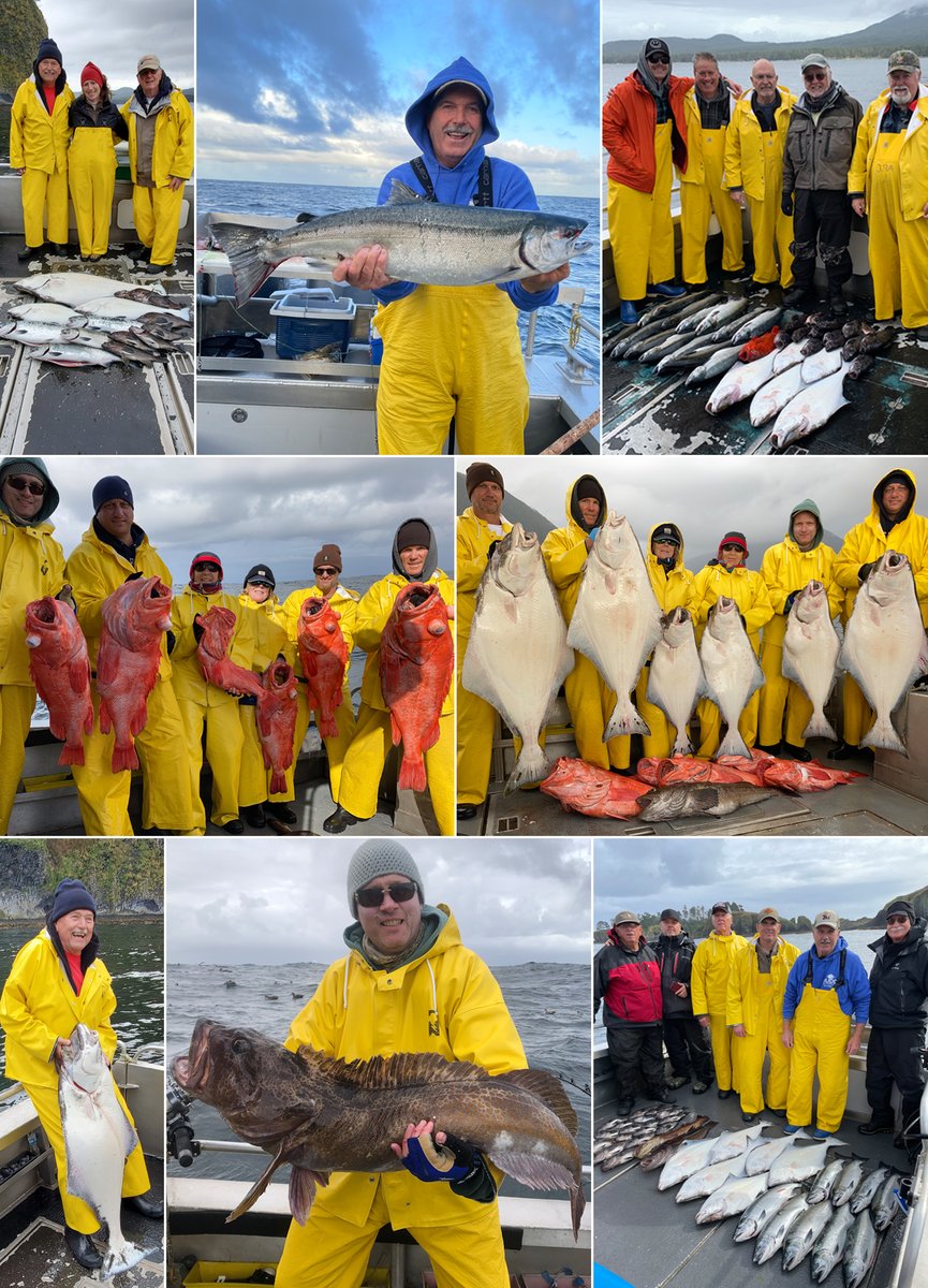 9-14-21: Better weather brought better fishing including a Shortraker limit! #sitka #salmon #fishing #alaska #fish #wildstrawberrylodge #alaskapremiercharters #fishinginsitka #fishinginalaska #sitkafishing #alaskafishing #halibut #lingcod #rockfish #shortrakers #familyfishing #ak