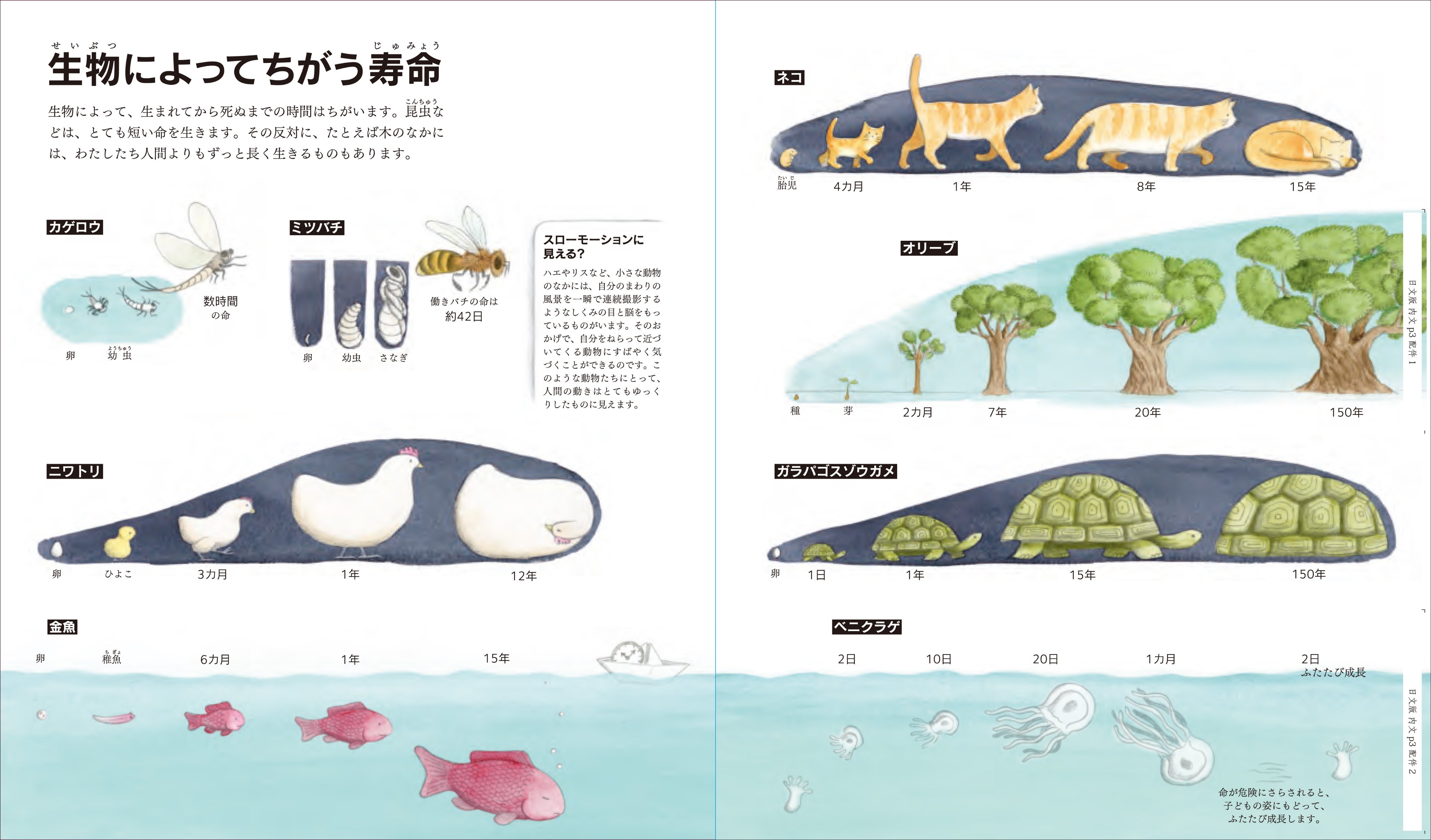 世界で一番美しい元素図鑑シリーズ Elements Japan Twitter