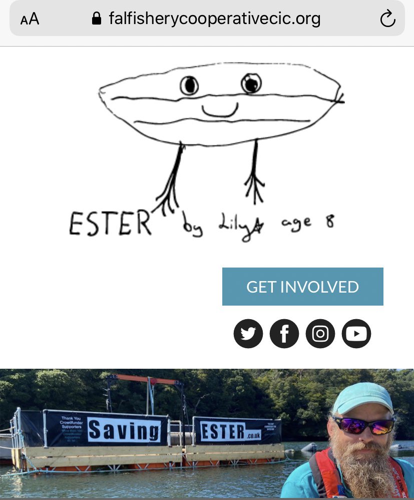 Our new website is live, well actually only the home page but lots more coming soon! Please check it out at 
FalFisheryCooperativeCIC.org 
and share to as many as possible, thank you!
#NativeOysters
#Oysters
#Aquaculture
#MarineHabitat
#Cornwall
#SavingESTER
<a href="/savingester/">#SavingESTERtheOYSTER 🦪❤️</a>