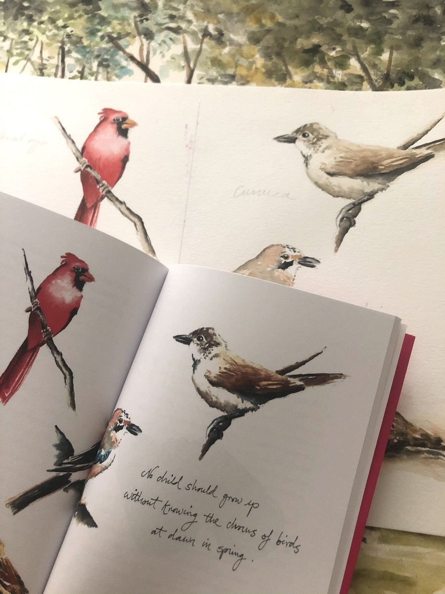 AudreyRdP's tweet photo. La maravilla de haber ilustrado la nueva edición de este libro tan lleno de belleza y tan necesario hoy día. Un elogio de la curiosidad y del asombro ante la naturaleza. https://t.co/gAH4vAwXW5