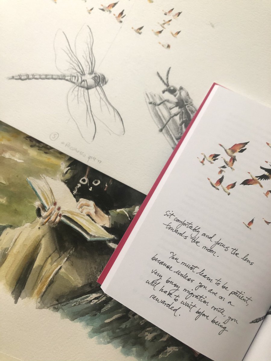 AudreyRdP's tweet photo. La maravilla de haber ilustrado la nueva edición de este libro tan lleno de belleza y tan necesario hoy día. Un elogio de la curiosidad y del asombro ante la naturaleza. https://t.co/gAH4vAwXW5