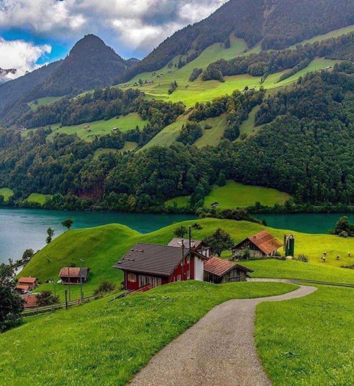 -صباح الخير لضوء الصباح  والأحباب والقهوه ولكل الأشياء التي تمنحنا شعوراً أفضل 💛💛💛💛✨