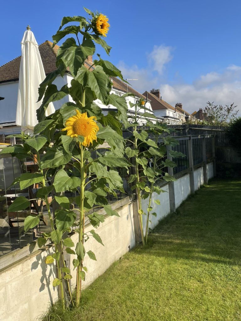 How it started, how it’s going