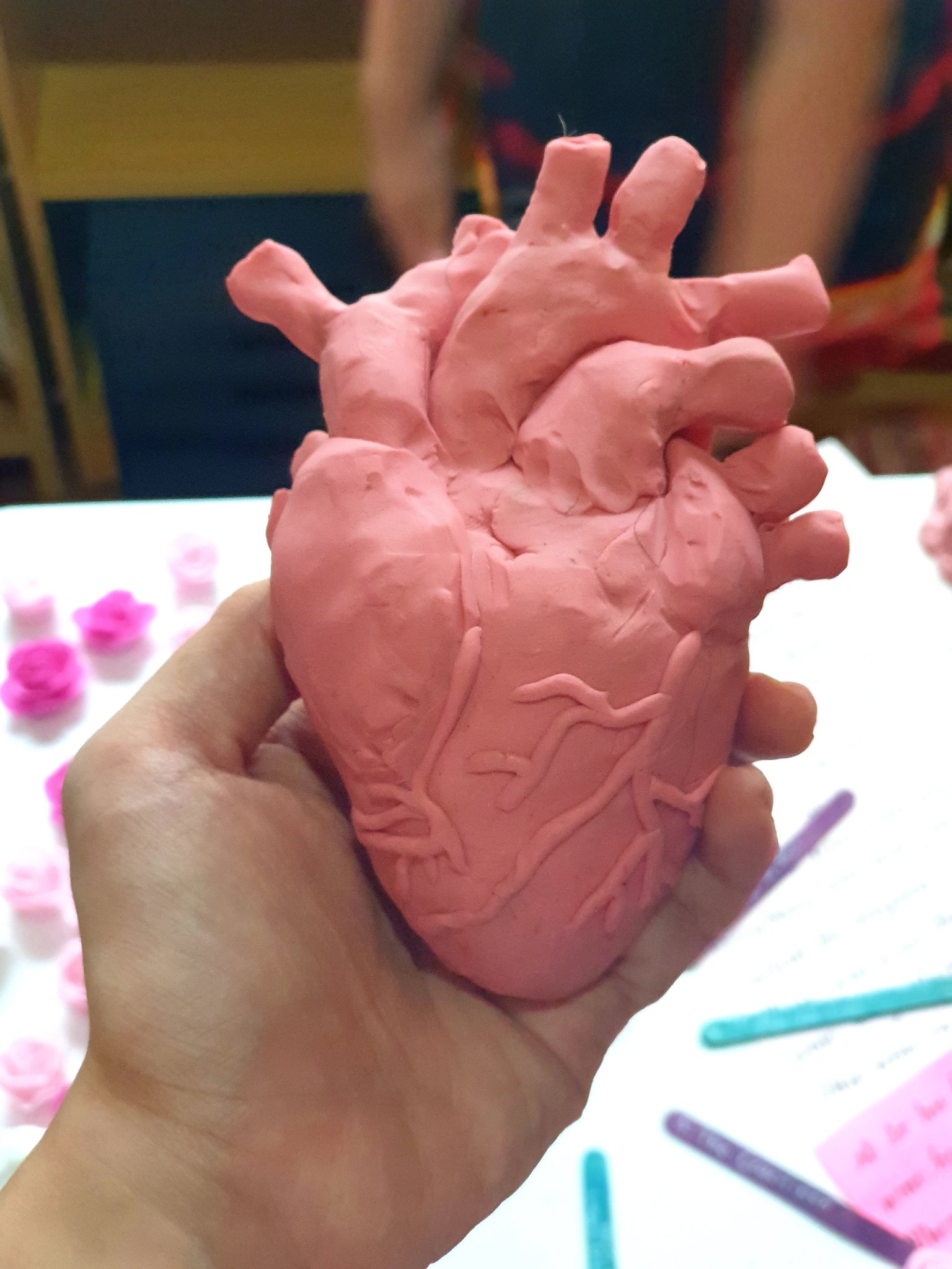 Model of heart with clay sales