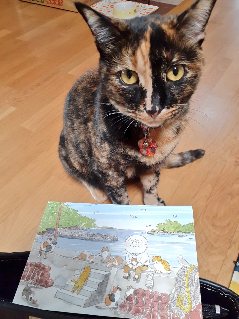 はるるん 9月も15日 ねことじいちゃんカレンダー 彼岸花が 咲いてる ねことじいちゃん ねこまき 猫 たまとわたし