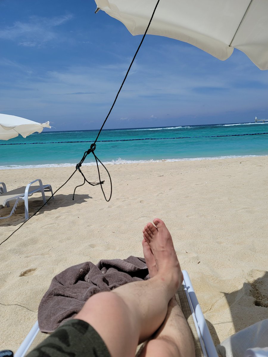 beatmania_jcs's tweet image. 仕事が捗ります😆🏖️