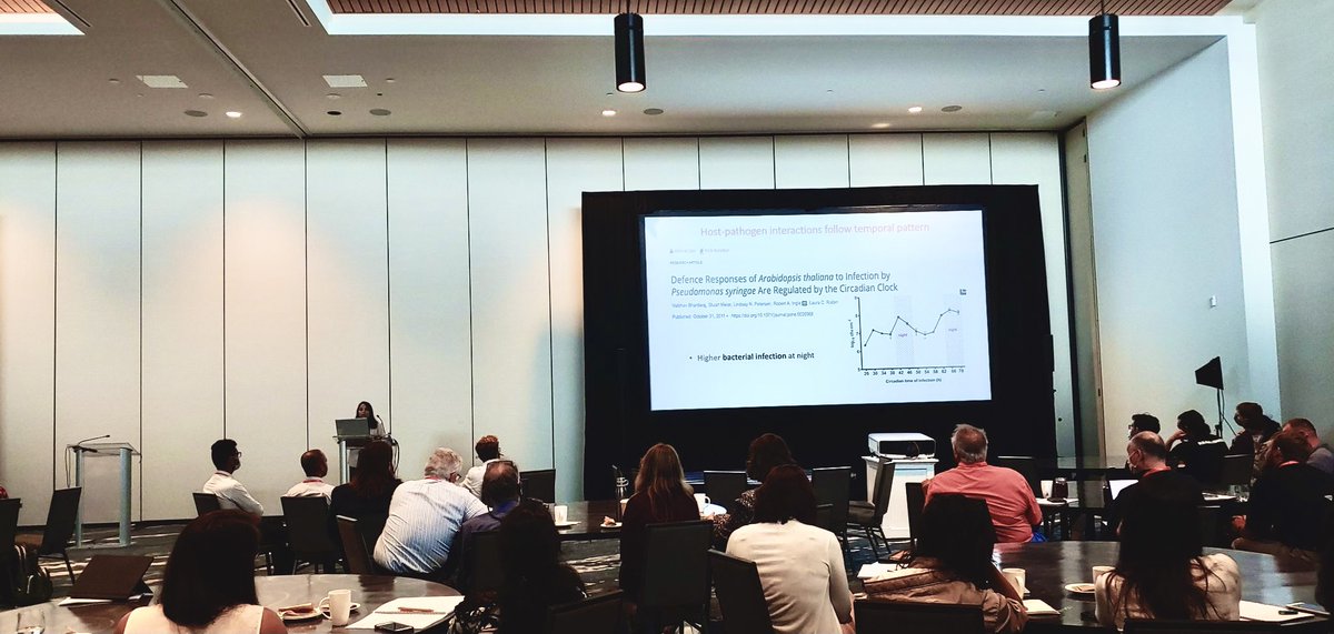 MishraShova's tweet photo. Glad to share my work at SON meeting  on understanding root-knot nematode-host interaction using gene networks #SON2021 #UFbugs #MolecularNematology https://t.co/0Y5PpEovMO