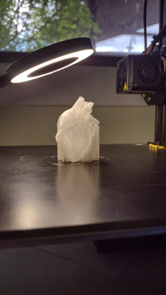 NiinaIn3D's tweet image. Mini heart, big emotion. 
#3Dprinted model of a human heart, 1:2 scale, clear PLA, #CrealityEnder3. 
#AcademicTwitter #phdlife #medtwitter