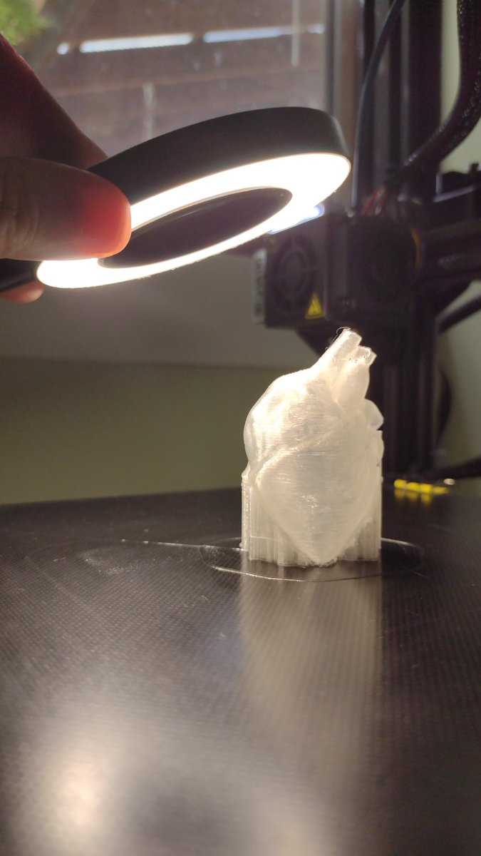 NiinaIn3D's tweet image. Mini heart, big emotion. 
#3Dprinted model of a human heart, 1:2 scale, clear PLA, #CrealityEnder3. 
#AcademicTwitter #phdlife #medtwitter