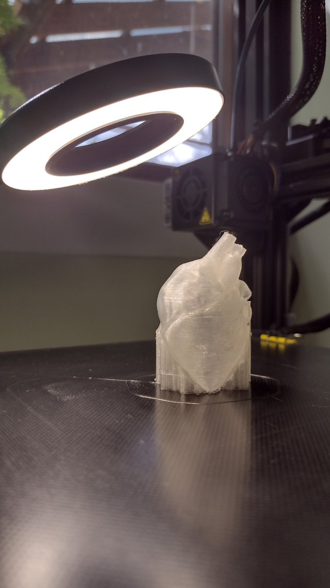 NiinaIn3D's tweet image. Mini heart, big emotion. 
#3Dprinted model of a human heart, 1:2 scale, clear PLA, #CrealityEnder3. 
#AcademicTwitter #phdlife #medtwitter