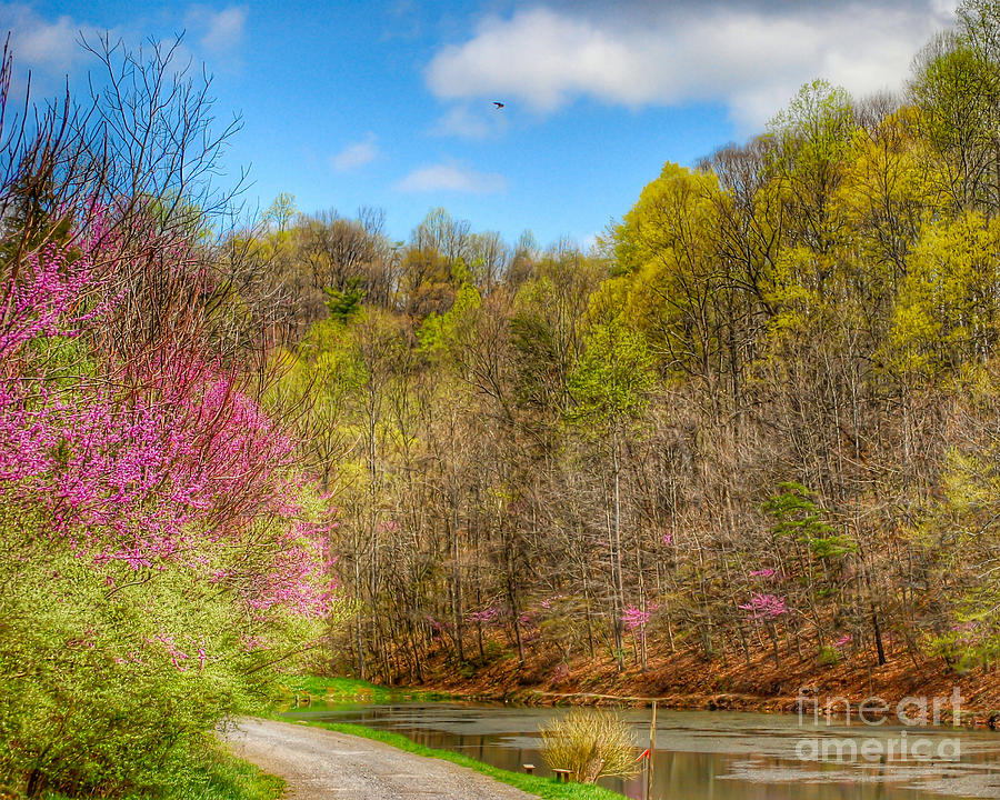 KerriFar's tweet image. &quot;Spring at the Pond&quot; ~ ow.ly/TmlN50FRDiH ~ #NewRiverNature #NaturePhotography #SpringSensations ~ #RedbudInBloom #SpringInVirginia #VirginiaSpring
