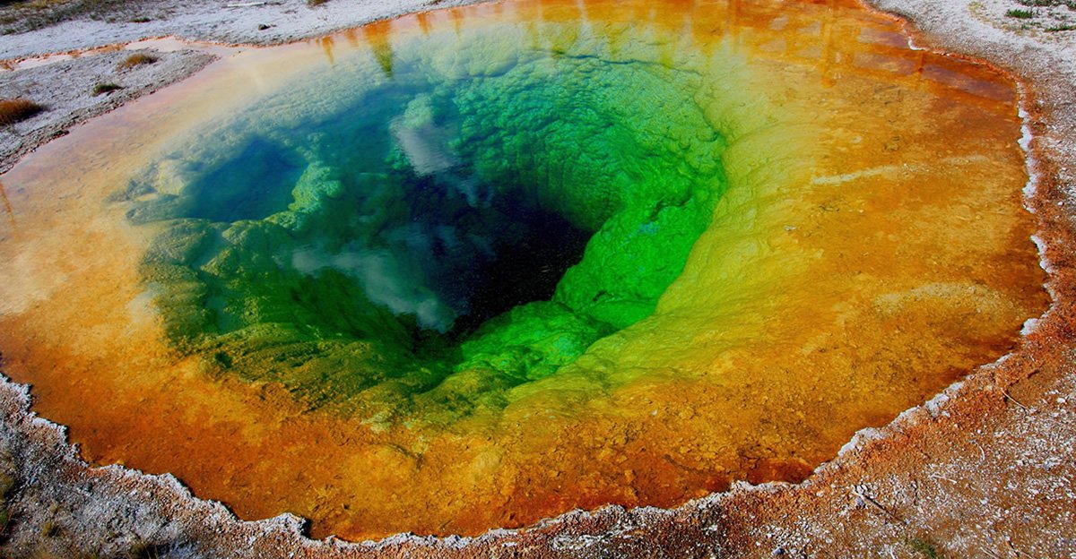 The morning glory pool. Yellowstone National Park.