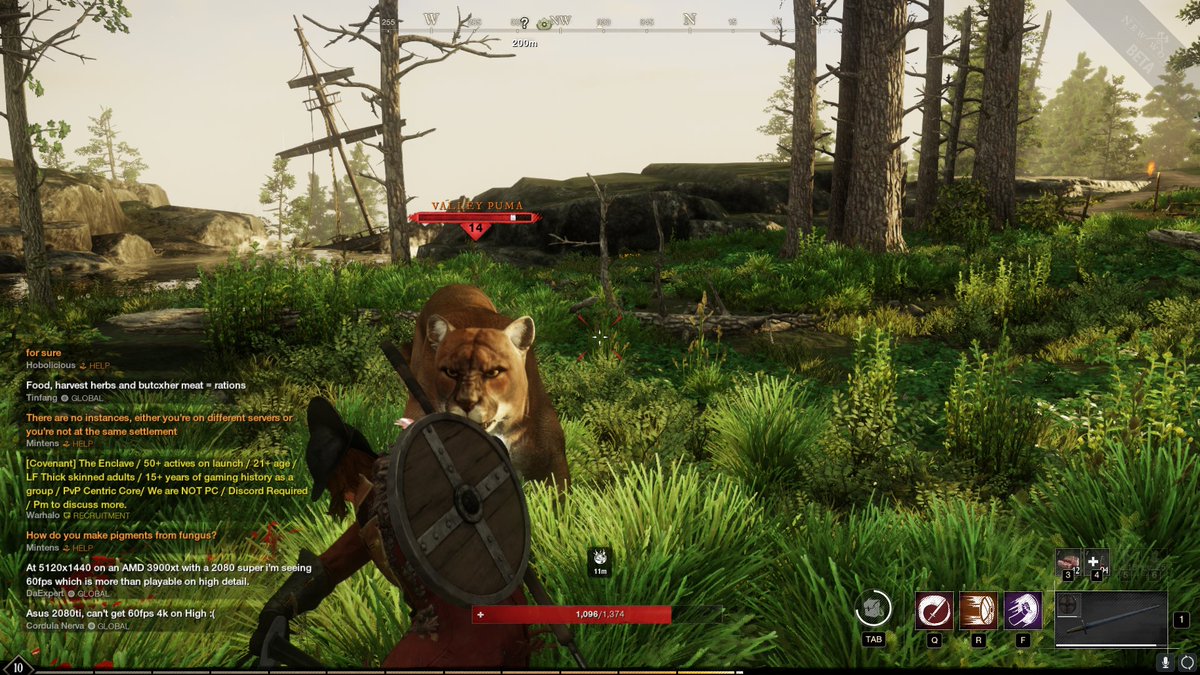 NWFarmReport's tweet image. I knew I loved @playnewworld when I could finally beat this puma.  I thought I wouldn't like the action combat, but as I honed my skills from level 12 to level 18 when I could finally kill this beast, I realized the challenge was fun.  I'm looking forward to new mobs to conquer.