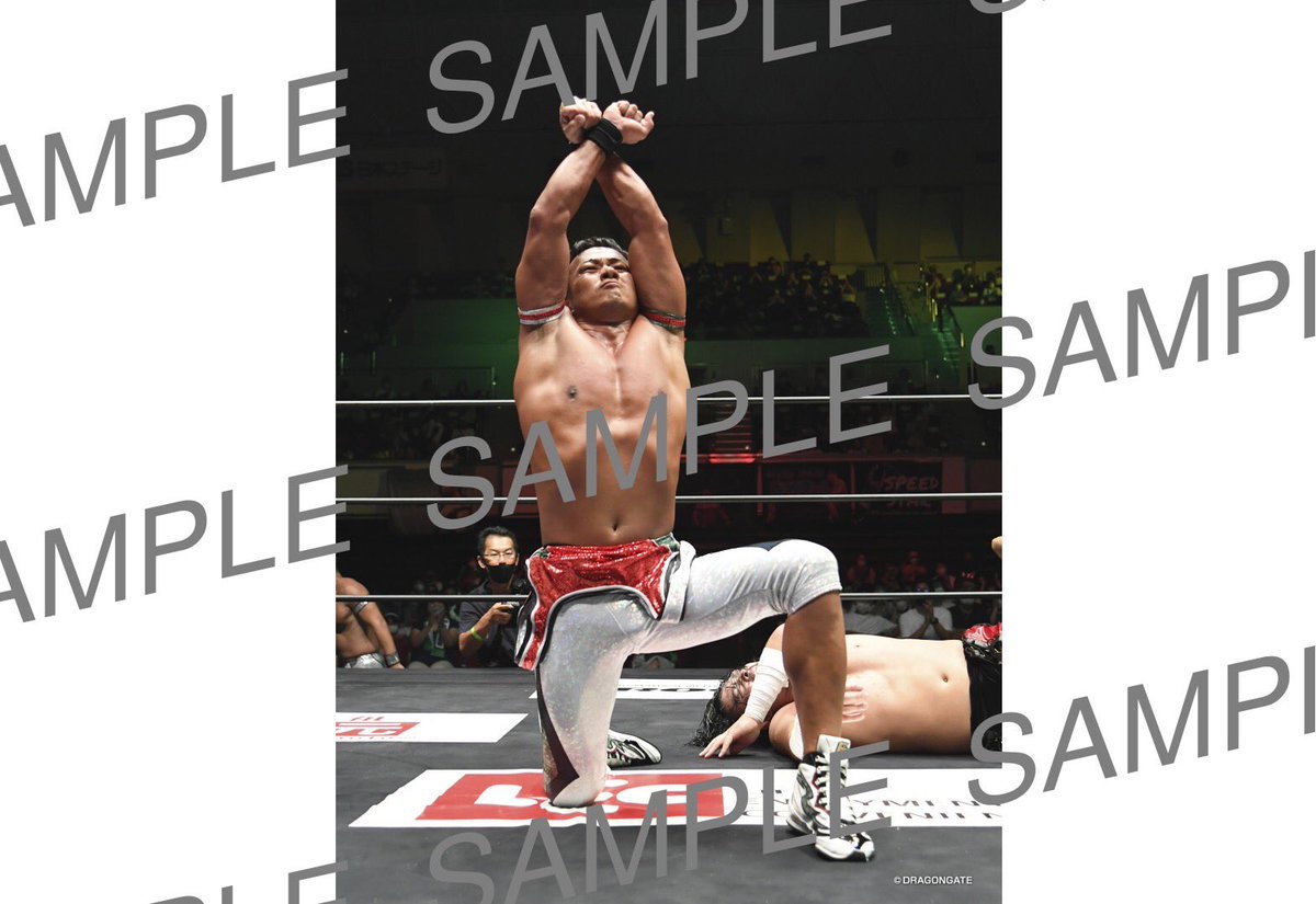 dragongate_pro's tweet photo. 【#らいぶろ 2L判ブロマイド 情報】
#SpeedStarFinal 2L判ブロマイド発売中!
お近くの #ローソン、#ファミリーマート のマルチコピー機でご購入下さい。
定価:各500円
https://t.co/D4ZV3XQWPk
#DRAGONGATE #ProWrestling https://t.co/OcRhU7k0ay