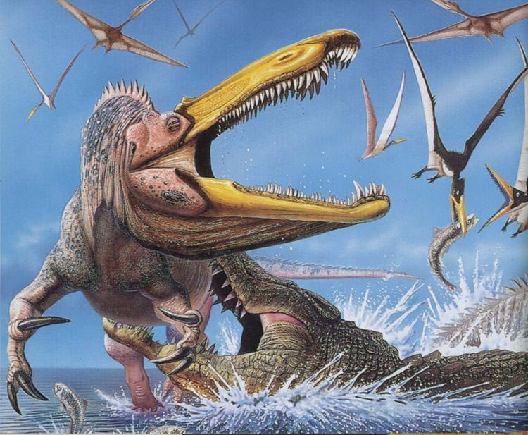 JurassicSouls's tweet photo. Growing up with Suchomimus as my Dinosaur  was certainly interesting, none of my friends knew what it was and I will never forget in middle school when a dude  was like 

“It’s just  a bootleg  Spinosaurus”😂😂 I was so shook https://t.co/BOdzwmSsGu