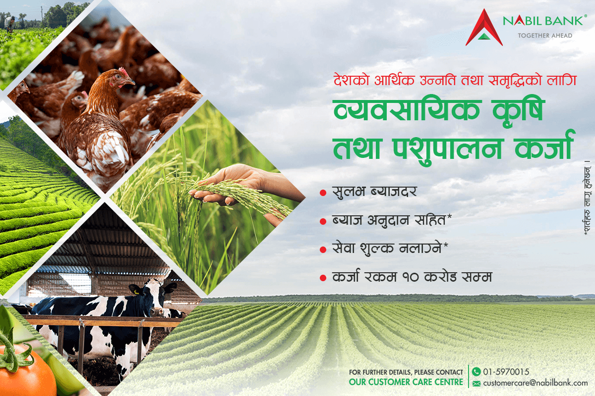 सुलभ ब्याजदरमा नबिल व्यवसायिक कृषि तथा पशुपालन कर्जा। 

To know more please visit bit.ly/3nzFRTK

For further details, please contact our Customer Care Center at 01-5970015 or email us at customercare@nabilbank.com or write us at nabilbank.com/individual/gri…

#NabilBank #Loan