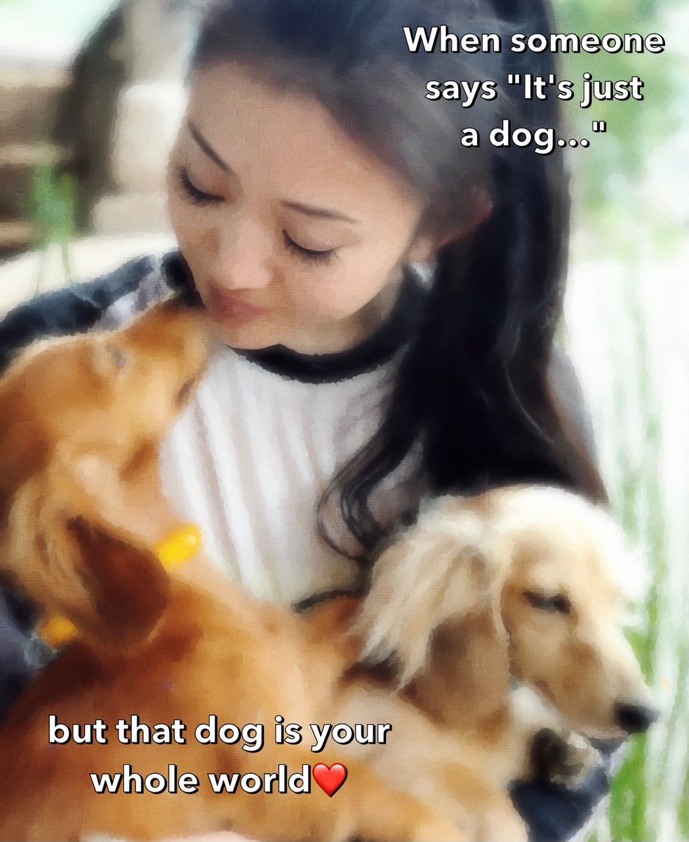 PinkDolphin_SH's tweet photo. When someone says "It's just
a dog…"
but that dog is your whole world❤
#ピンクドルフィン湘南鎌倉 #カニンヘンダックス #ミニチュアダックスフント #minituredachshund  #kaninchendachshund  #manicuristmiya  #twins  #shonan  #kamakura  #sharehouse #サーフィン #サップ  #シェアハウス https://t.co/Tuap6hnu0w