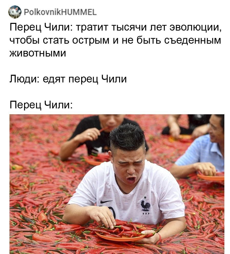 leprasorium's tweet image. Немного об эволюции