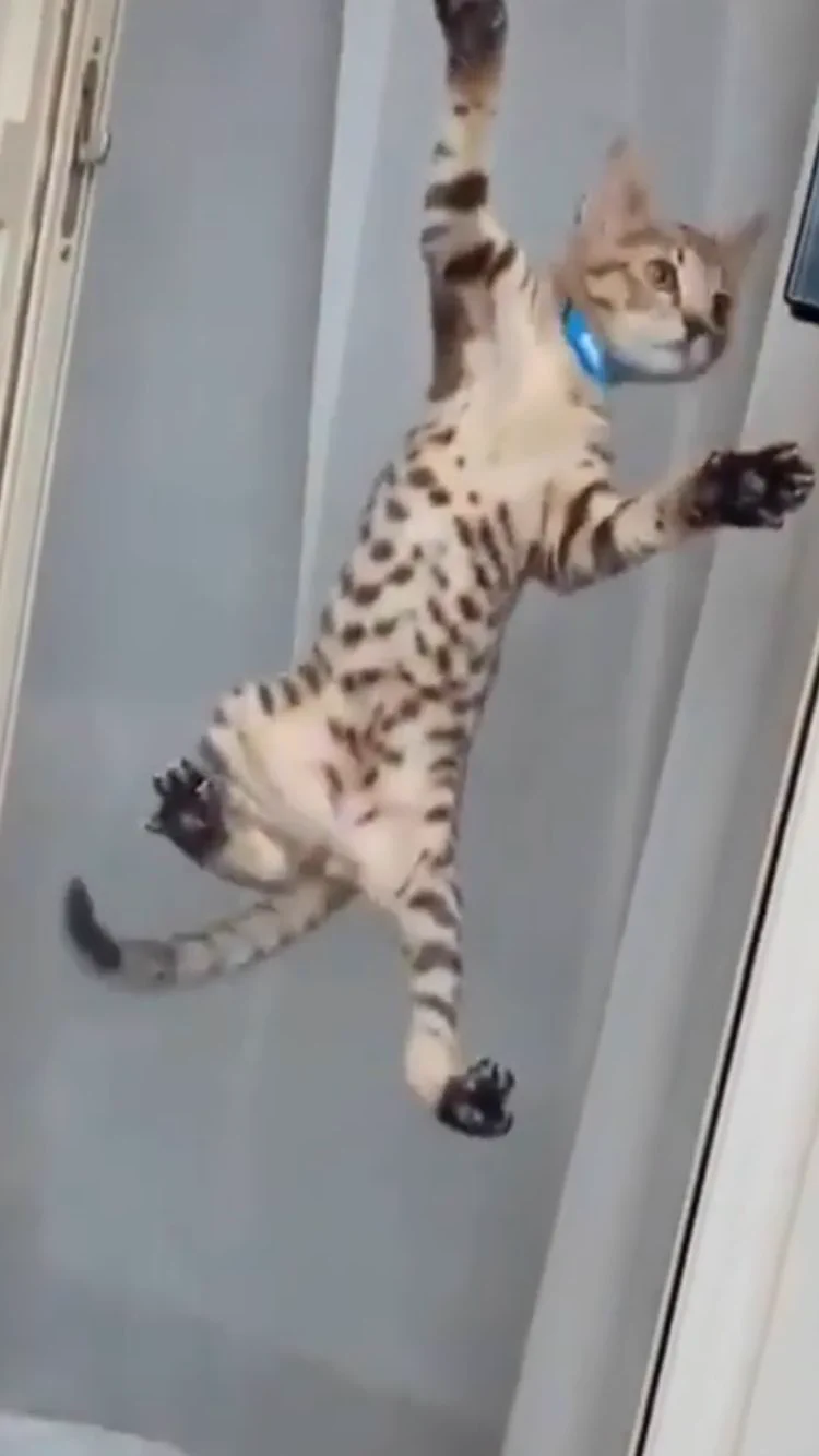 @tyomateee2 @tyomateee 🙇🏻‍♂️🙏🌸🍀こんちは、ありがとうございます。😊 