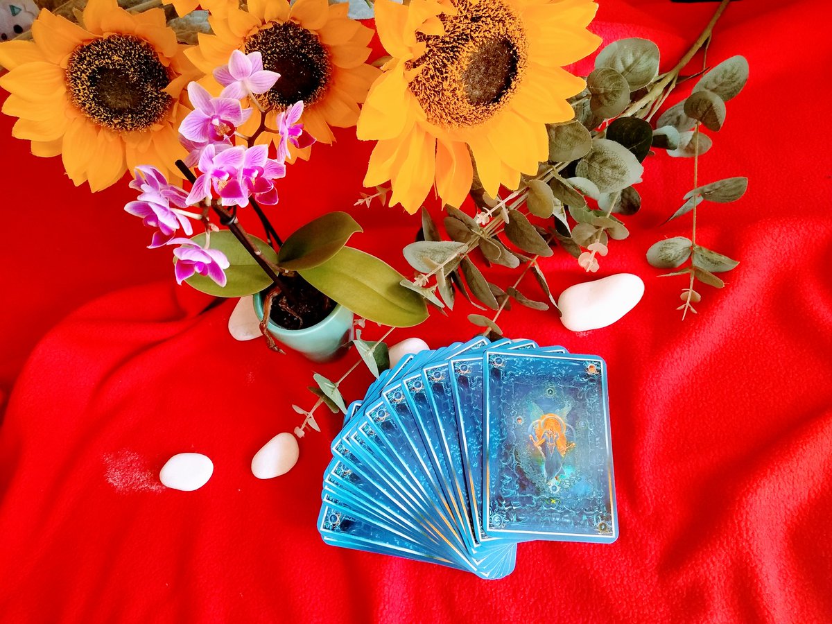 conectate_con's tweet image. Quieres saber qué consejo tiene los ángeles para ti? 

😇Consejos de los angeles😇

Ellos te orientarán en esa situación por la que estás pasando.

#whatsapp📲 ±351938809759 
---
#conectate_con #angeles #tarot #oraculo #TarotReading #motivacional #Tarotcards #mensajedelosangeles