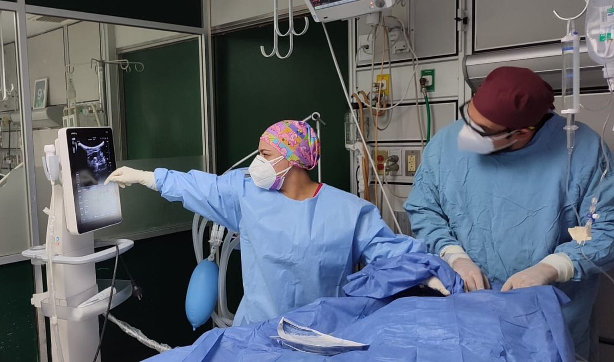 PAOVICO's tweet photo. Guardia productiva... colocación de acceso vascular ecoguiado con robotina my love jaja 🤖😷🏥 #UCI #medicinacrítica #POCUS #Mindray #missher #echofirst #errestyle #imback https://t.co/XkQATmlB0g