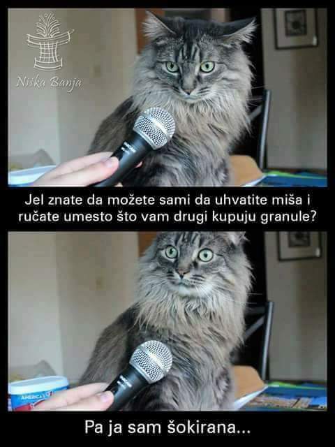 E_TTVk5WQAAB-zu?format=jpg&name=small