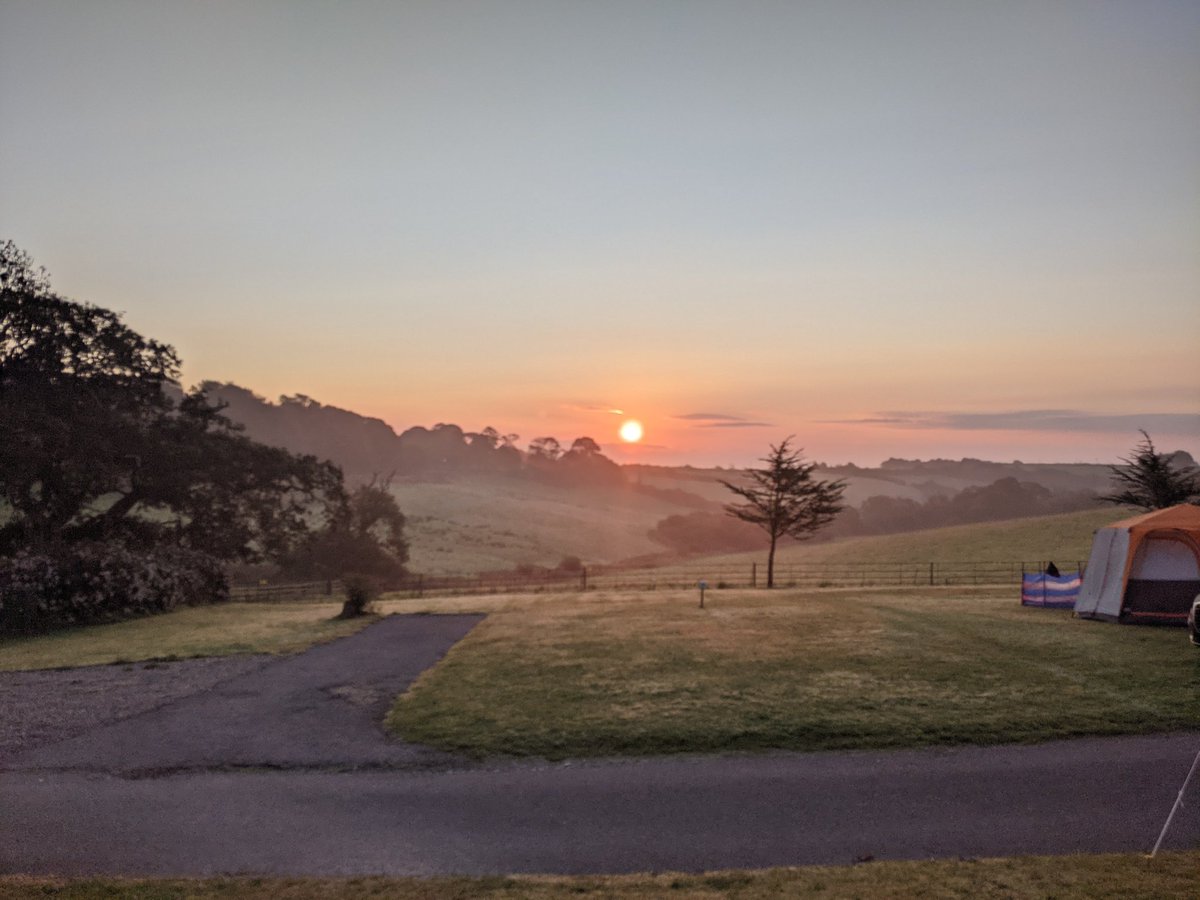 Jeff Watson tweet media