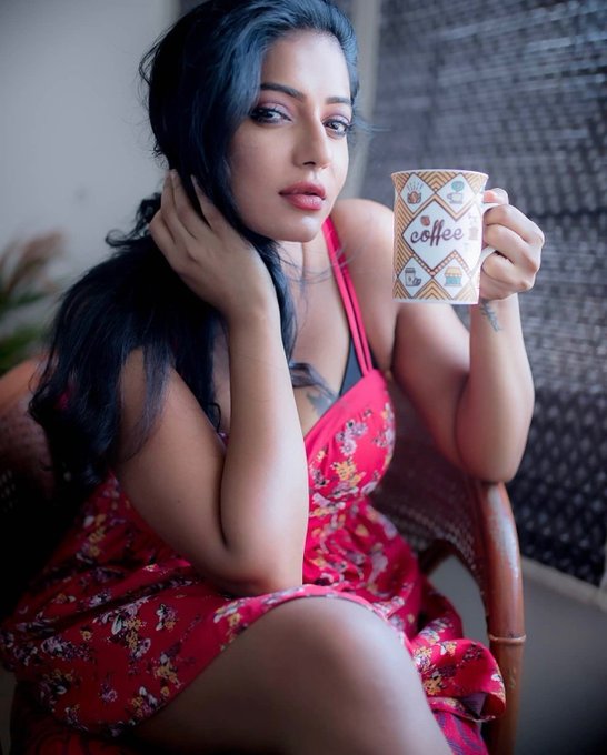 Sikar escort service