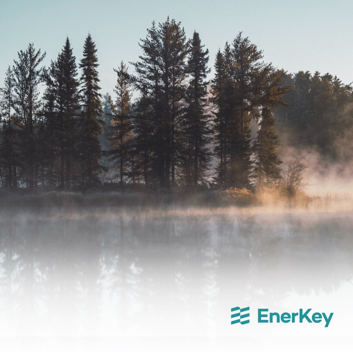 EnerKeySEMS's tweet image. "Based on our 20-year experience in helping our customers at EnerKey, the most resource effective way to start doing sustainability measures can be summarised in 5 steps." ✔️

Read the blog post "Five Steps to Sustainability" here : 
enerkey.com/en/company/new…

#allweneedisless