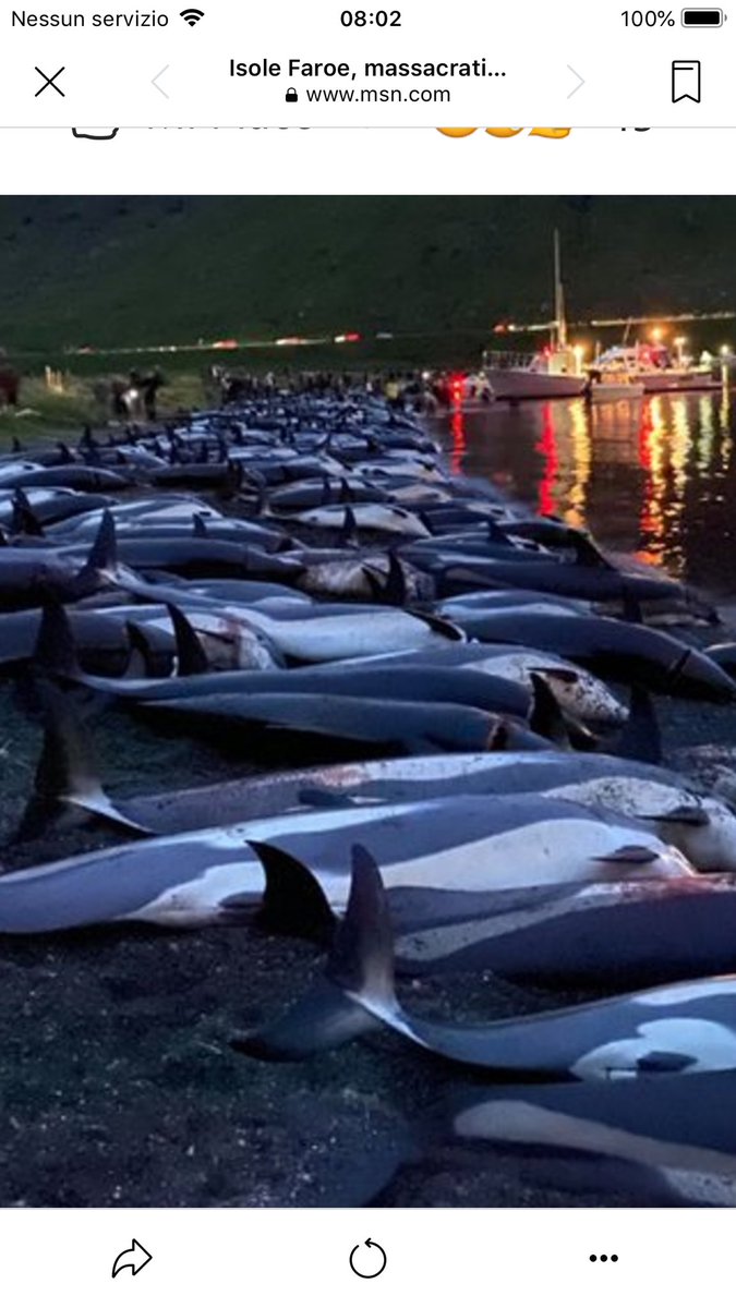 1500 delfini massacrati con coltelli con asce con trapani per tradizione dalla “civile” Danimarca nelle Isole Faroer.....  merde danesi !!!!